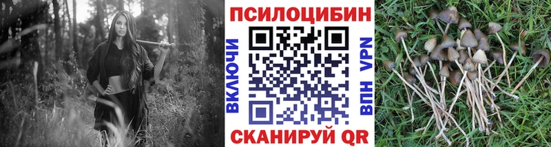 Галлюциногенные грибы мицелий наркота Салехард